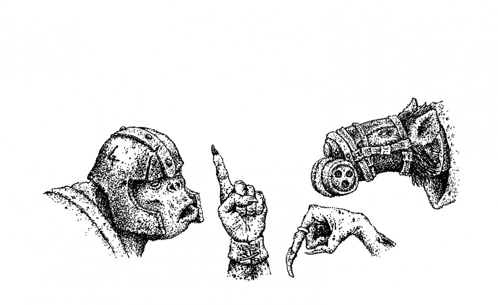 [Image: 1410.jpg]