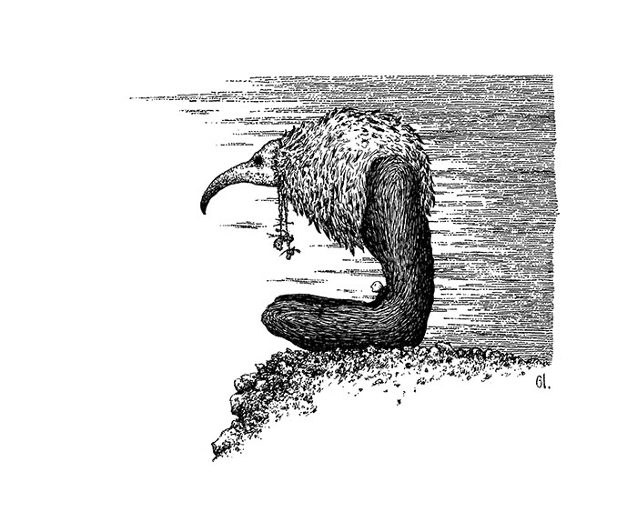 [Image: 1415.jpg]