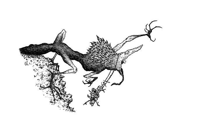 [Image: 1454.jpg]