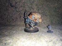 Monkstone Miniatures - Glömm the Collector - Vue 2