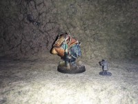 Monkstone Miniatures - Glömm the Collector - Vue 5
