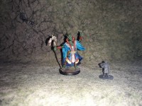 Dark Sword Miniatures (DSM7492 Male Dragonborn Mage) - Vue 1