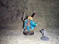 Dark Sword Miniatures (DSM7409  Female Ranger with Falcon and Long Sword) - Vue 1