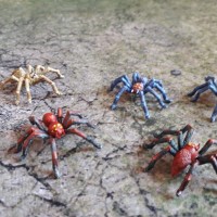 Araignées (métal) - Photo 2