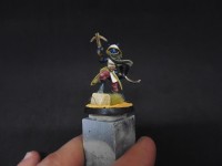 Aventurière féline