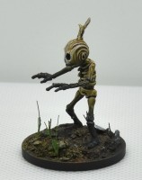 Colorquest Squelette de bois1