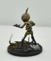 Colorquest Squelette de bois1