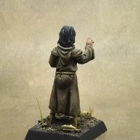 L'illuminé des marais