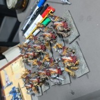 Chevaliers dragons wip