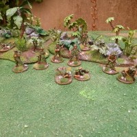 Commandos Australiens,  Spécialistes