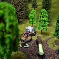 Eclaireur elfe en chasse