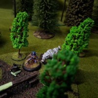 Eclaireur elfe en chasse