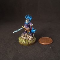 Michayouri de Strogonoff