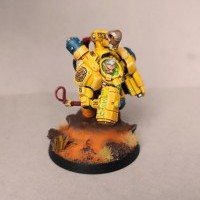 Participation de Ludmar