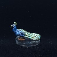 Paon dans l'oeil Paon dans l'oeil