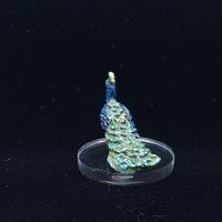 Paon dans l'oeil Paon dans l'oeil