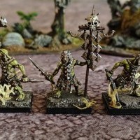 Nains du Chaos