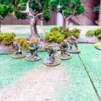 Vrill Division Westsector